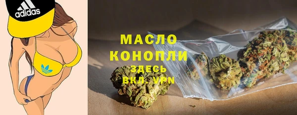 гидра Вяземский