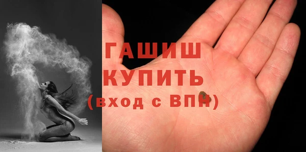 гидра Вяземский