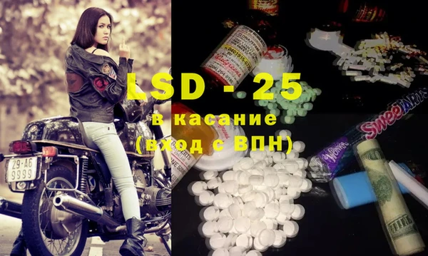 гидра Вяземский