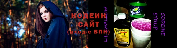 гидра Вяземский