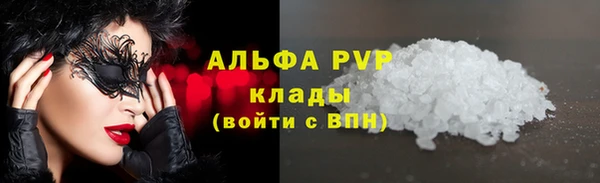 гидра Вяземский