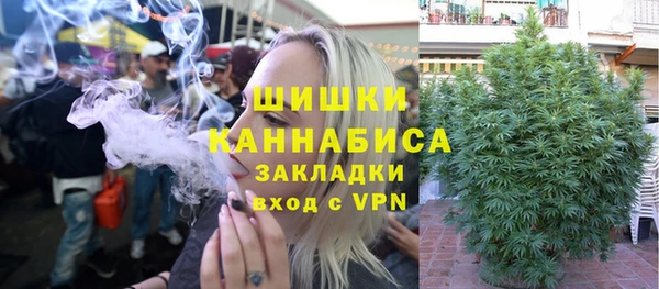гидра Вяземский