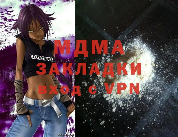 гидра Вяземский