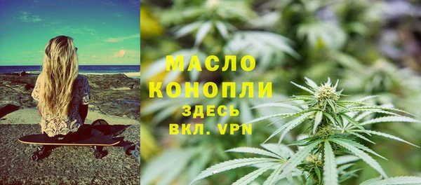 гидра Вяземский
