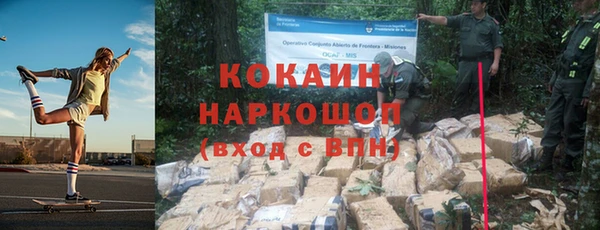 гидра Вяземский
