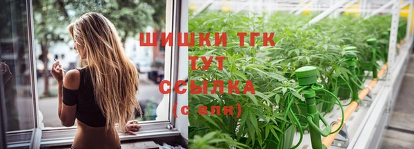 гидра Вяземский