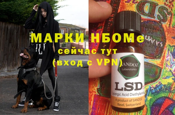 гидра Вяземский