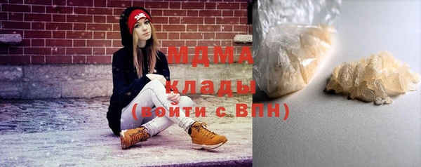 гидра Вяземский