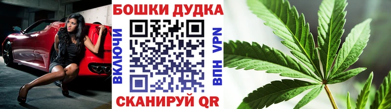 Купить закладки  Курганинск  Бошки марихуана White Widow 
